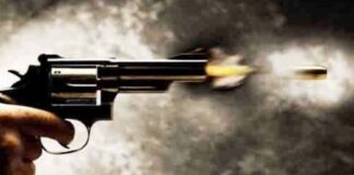 Jóvenes asaltantes azotan vecindarios en El Bronx residen dominicanos; violencia aumenta en transporte público