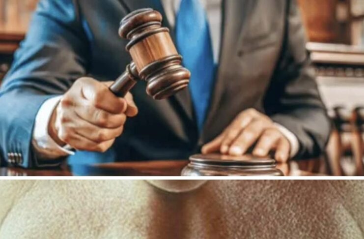 Divulgar un secreto profesional ajeno te podría costar hasta un año de prisión y la cancelación del exequatur