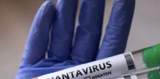 Canadá eleva a seis el número de personas aisladas en el país por riesgo de hantavirus