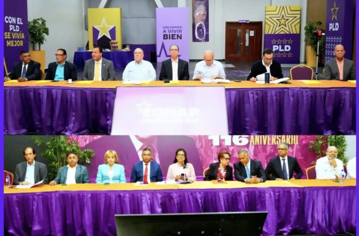 PLD suspende consulta para escoger aspirante presidencial y anuncia proceso a partir de julio de 2027